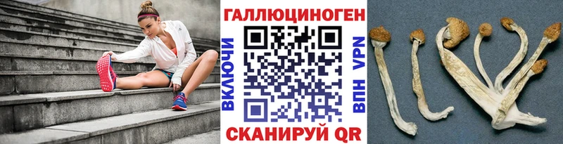 ОМГ ОМГ зеркало  Ликино-Дулёво  Галлюциногенные грибы ЛСД 